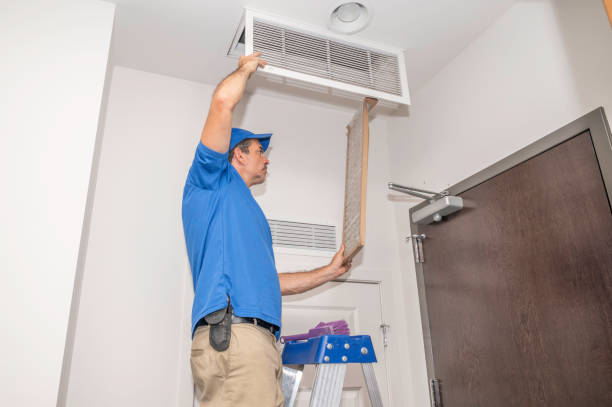 Best Air Vent Cleaning Services  in Meridian Village, CO